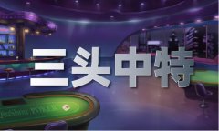 2023正版材料大全完整版_2023正版材料大全完整版